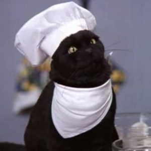 Político Sueño consumo Los mejores disfraces de Salem el gato - Series - El Spoiler Geek
