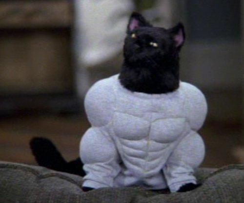 Político Sueño consumo Los mejores disfraces de Salem el gato - Series - El Spoiler Geek